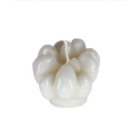 {
  "name": "Garlic Head"
}