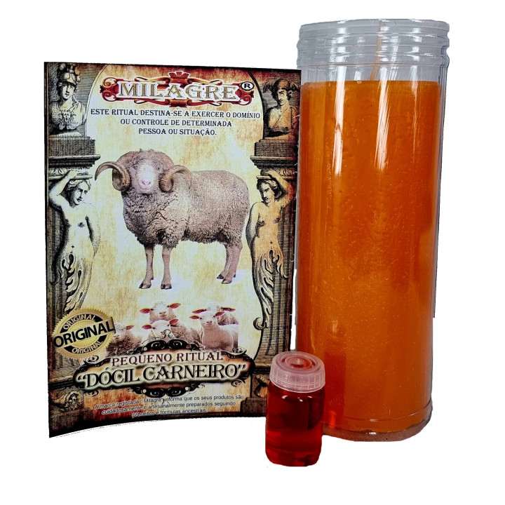 {
  "text": "small ritual – gentle ram"
}