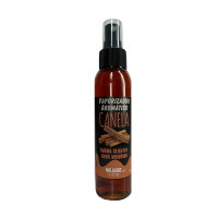 {
  "name": "cinnamon vaporizer / spray – 125ml"
}