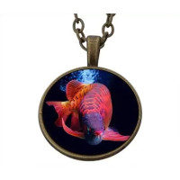 {
  "product_name": "koi carp"
}