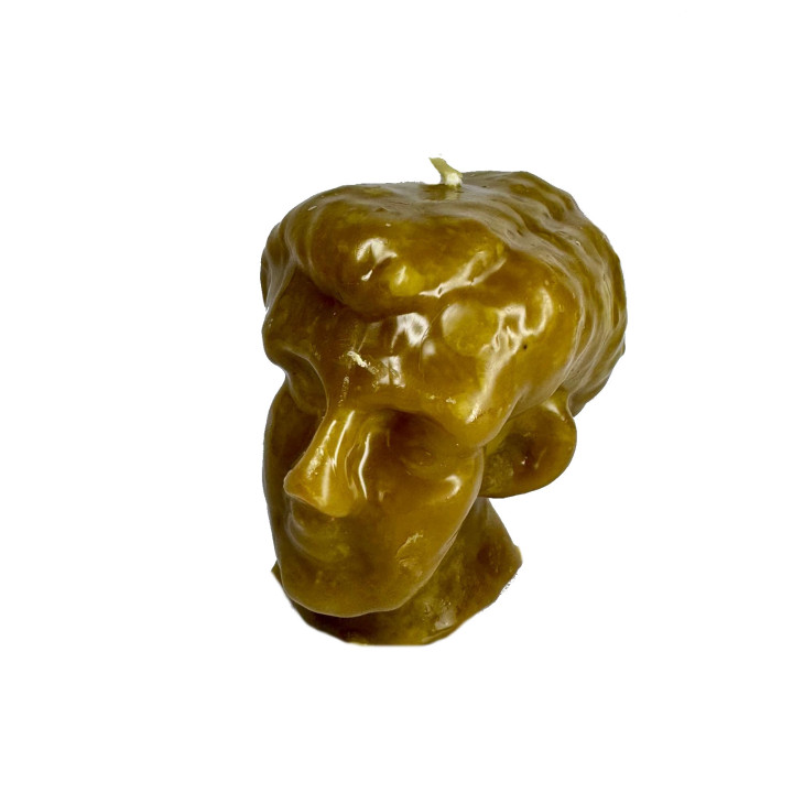 {
  "text": "Wax head of a man"
}