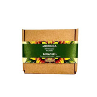 {
  "name": "Moringa Smudging Sun Money Flame"
}