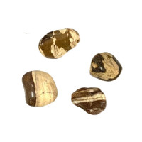 {
  "text": "Snake jasper"
}