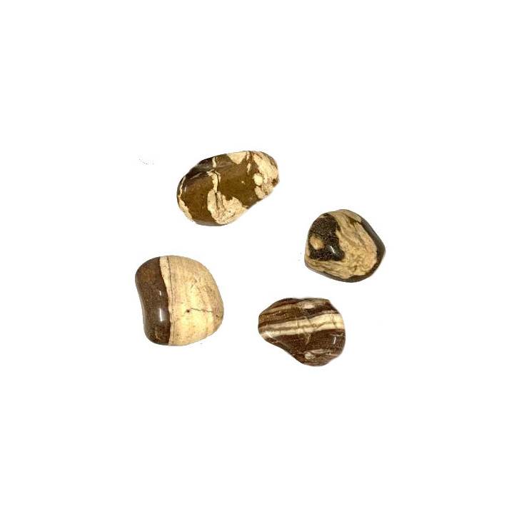 {
  "text": "Snake jasper"
}