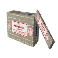 {
  "product_name": "white sage incense 15gr satya (sage white)"
}