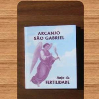 {
  "product_name": "prayer book – saint gabriel"
}