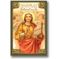 {
  "text": "tarot – voices of saints (voices of the saints)"
}
