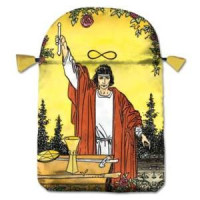 {
  "text": "tarot deck case – rider waite"
}